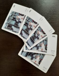 ABL Φορτιστής Ηλεκτρικών Οχημάτων 3Φ 2x 11kW με 2 sockets Type 2, RFID - Image 2